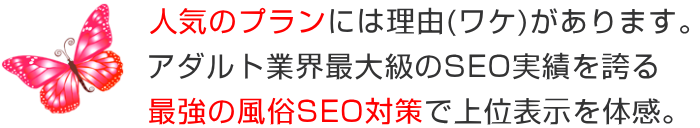 風俗SEO STANDARDコース
